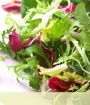 Radicchio