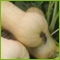Ernte 6